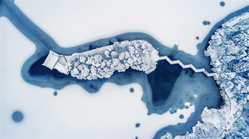 1780385612165333.png 图片1.png