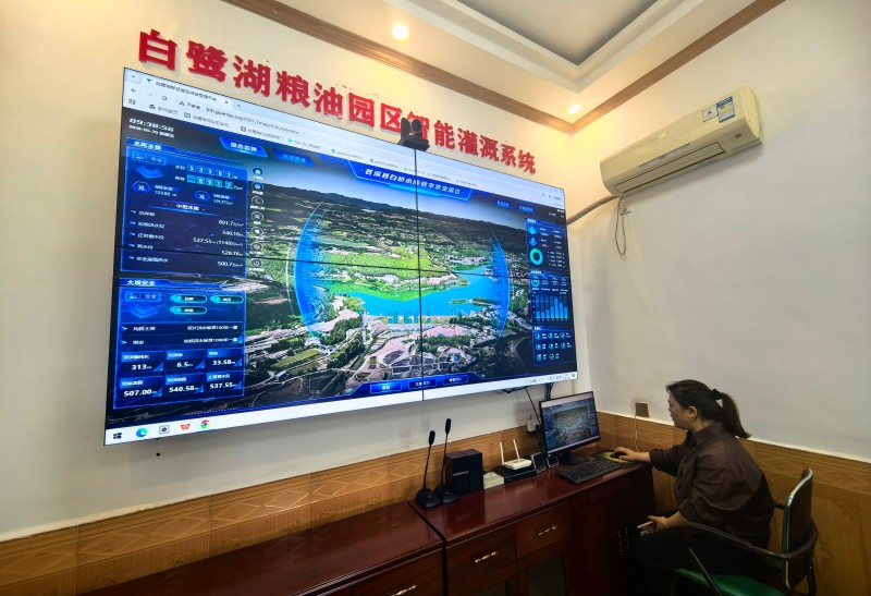 1780382235910283.jpg 图片2.jpg