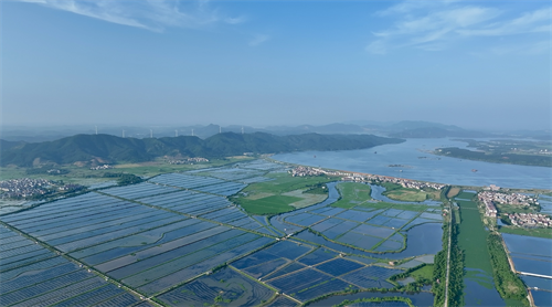1780388607724896.png 图片5.png