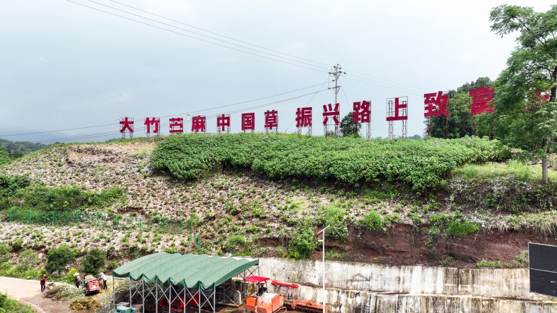 1780540806660713.jpg 2金月农业园区(姚闯摄).jpg