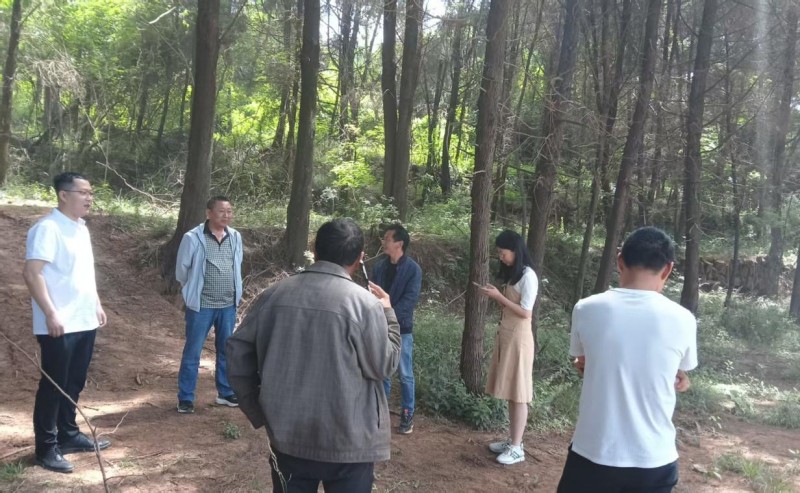 1780627803635784.jpg 图片2.jpg