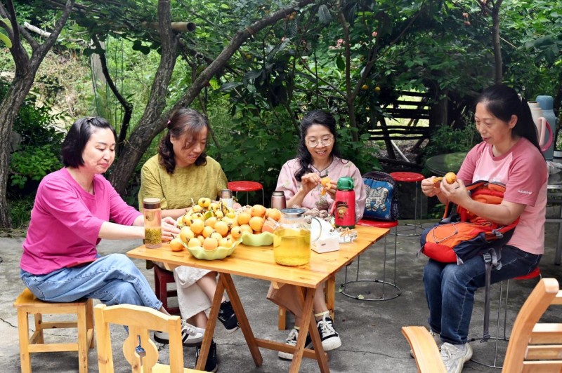 1780628657178181.jpg 图片2.jpg