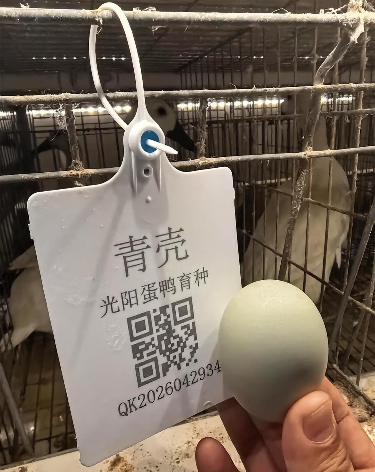 1781058921383246.jpeg image3_看图王.jpeg