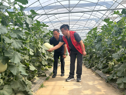 1781144010206400.png 图片5(1).png