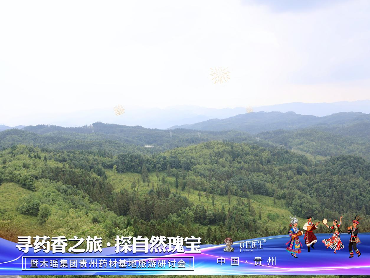 1781170196797934.png 药材4.png
