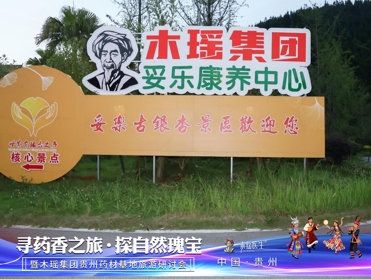 1781170152671558.png 药材2.png