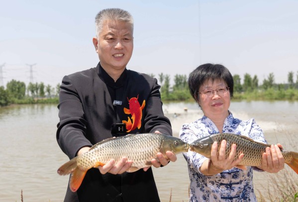 1781510103297224.jpg 鲤鱼1.jpg