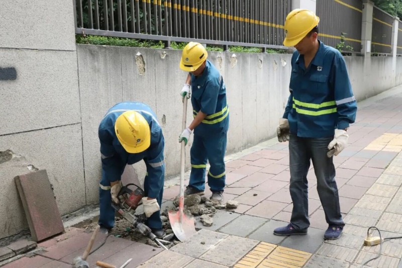 1781490188968928.jpg 图片1.jpg