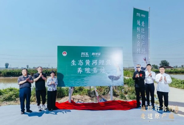 1781510117904986.jpg 鲤鱼2.jpg
