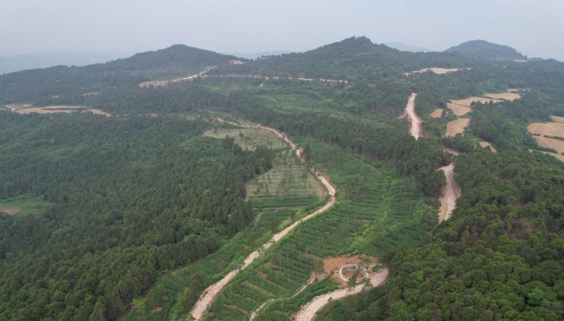 1781679392255631.jpg 图片4.jpg
