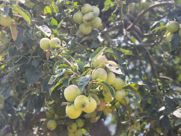 1781659937809012.png 图片12(1).png