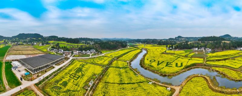 1782093096809690.jpg 图片5.jpg
