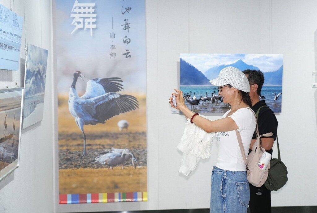 1782094441507543.jpg 微信图片_2026-06-22_100230_628.jpg