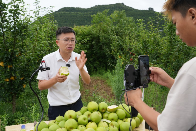 1782351967585709.jpg 图片3.jpg