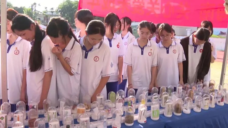 1782439064278645.jpg WPS图片3.jpg
