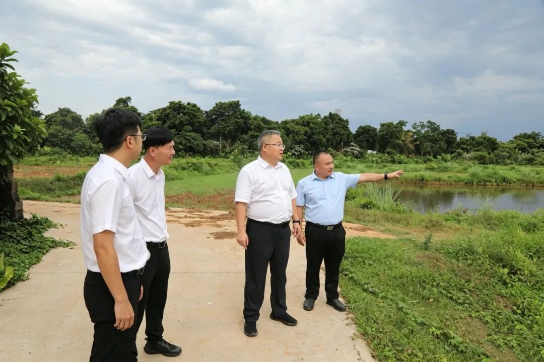 1782700356108566.jpg WPS图片1.jpg