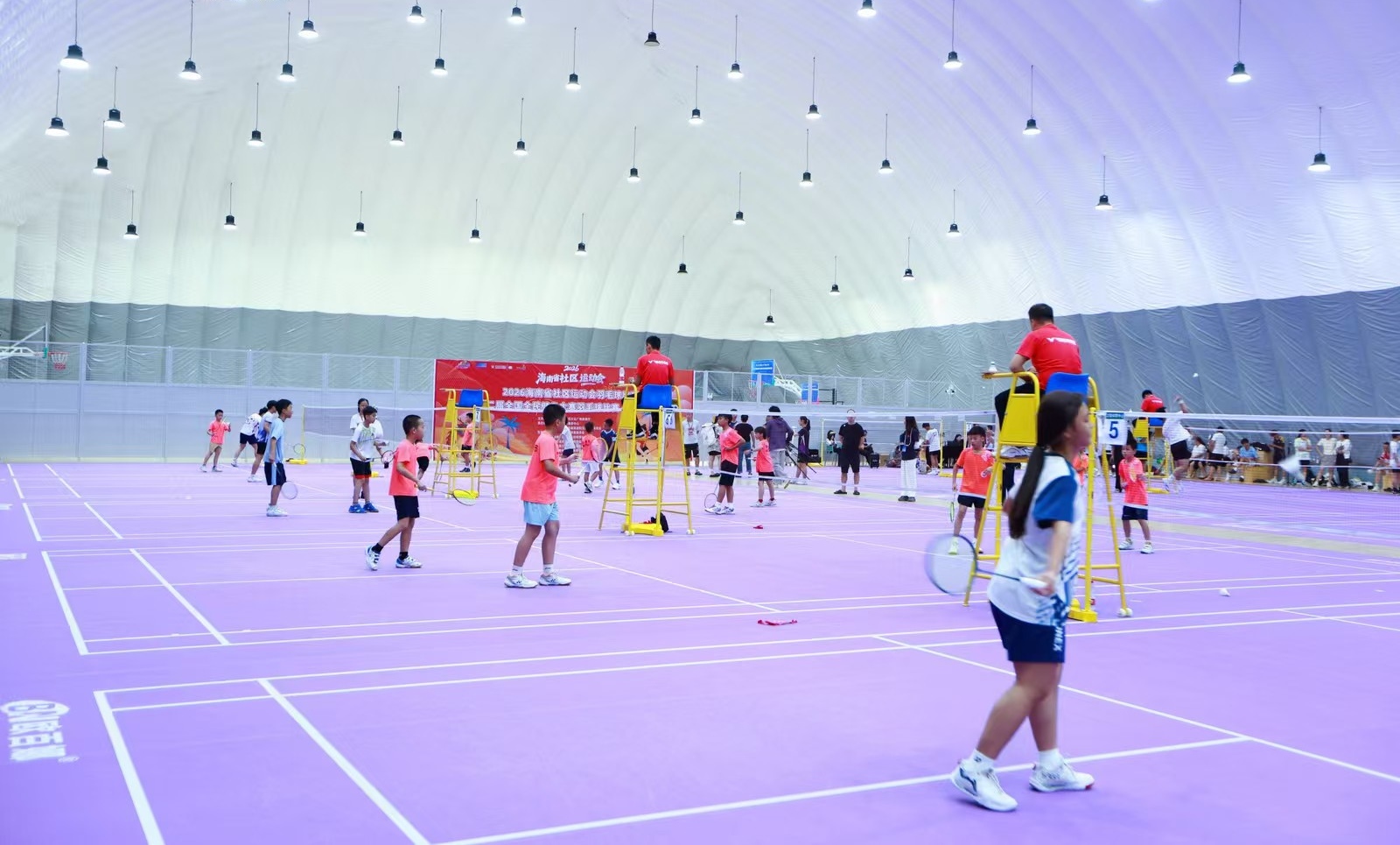 1782700110580279.jpg WPS图片1.jpg