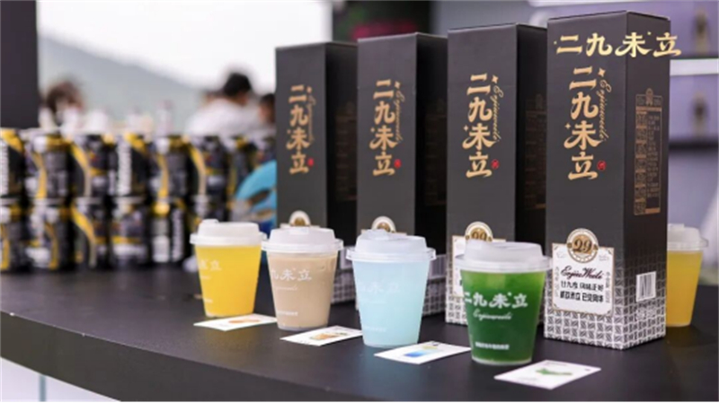 1783308301592199.jpg 汤沟新锐品牌“二九未立”燃动2026第四届连岛音乐节291.jpg