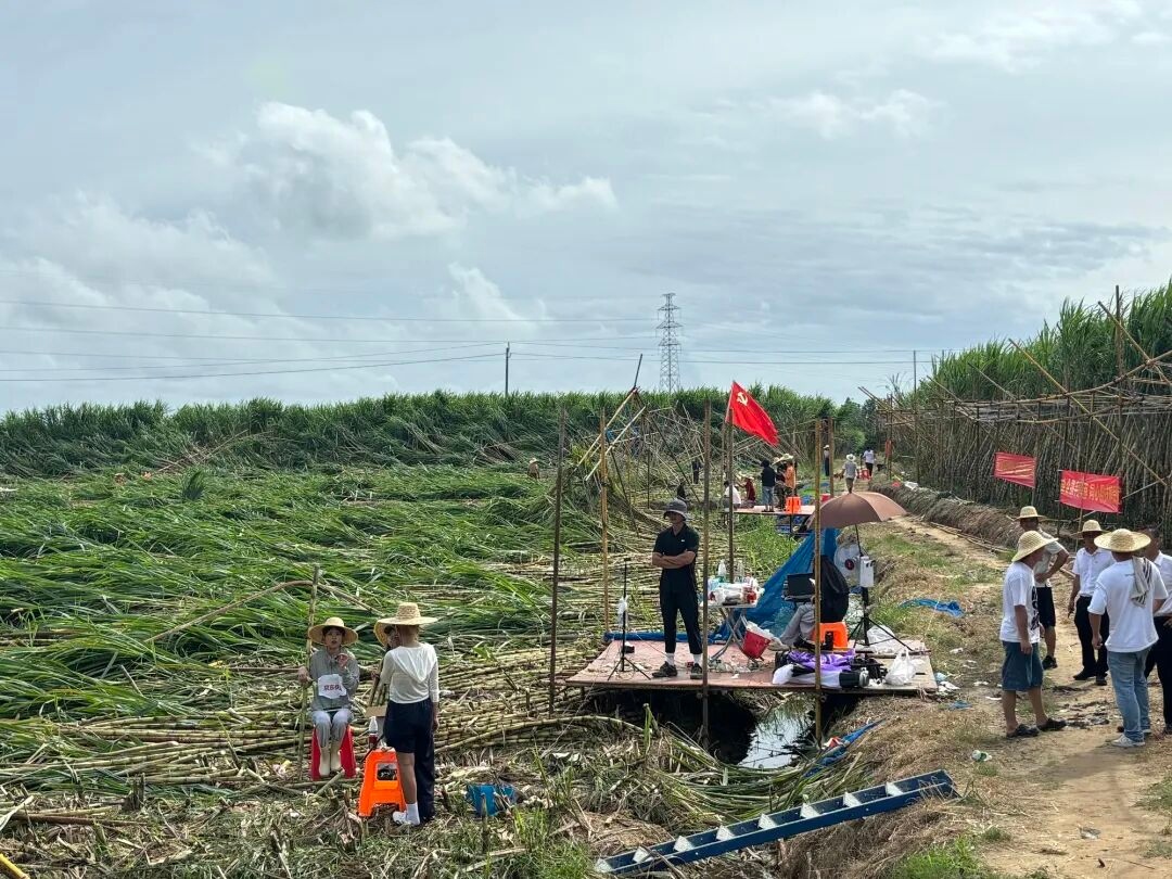 1783479330119882.jpg WPS图片1.jpg