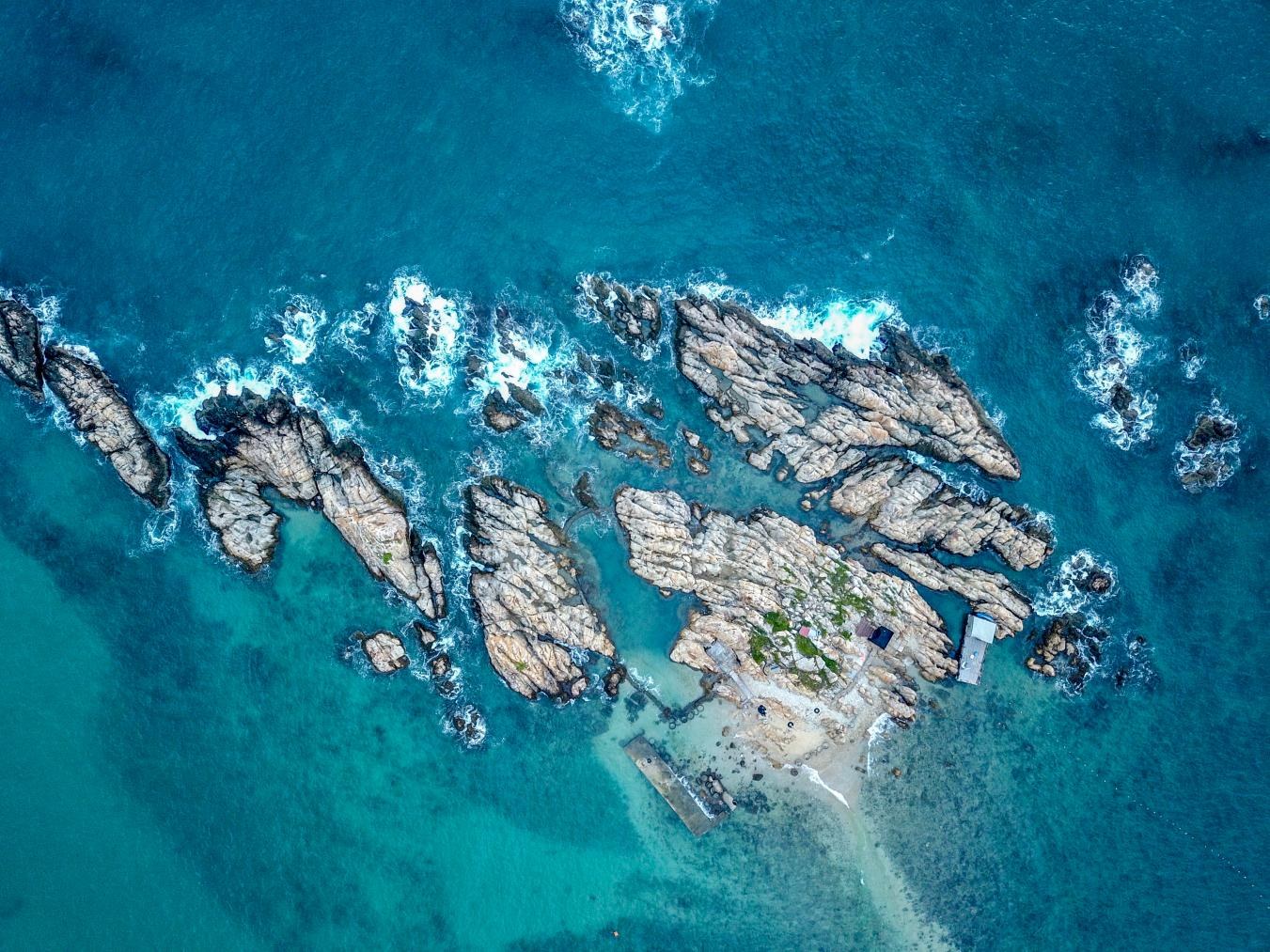 1783567334871488.jpg WPS图片1.jpg
