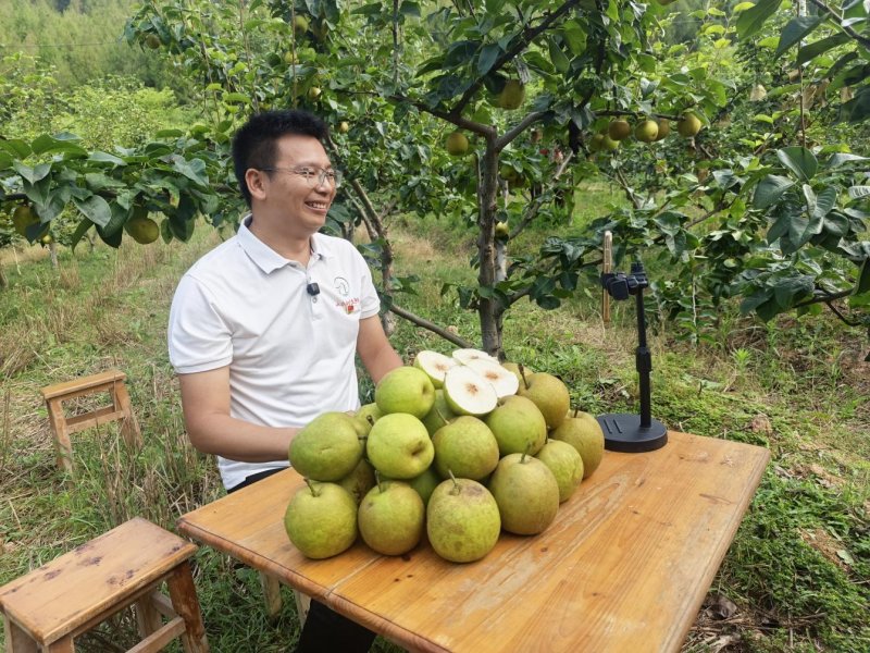 1783650117193897.jpg 图片2.jpg