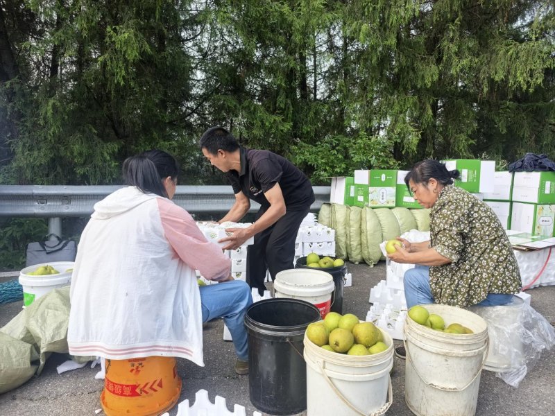 1783650123762311.jpg 图片3.jpg