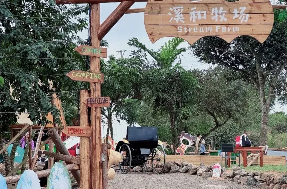 1784085145667705.jpg WPS图片1.jpg