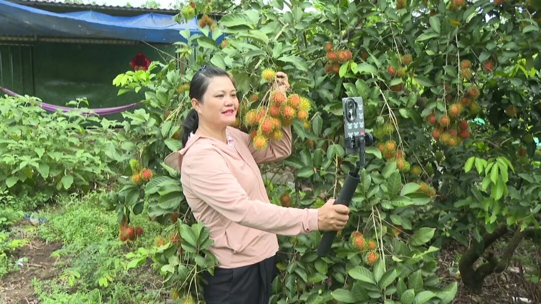 WPS图片1.jpg