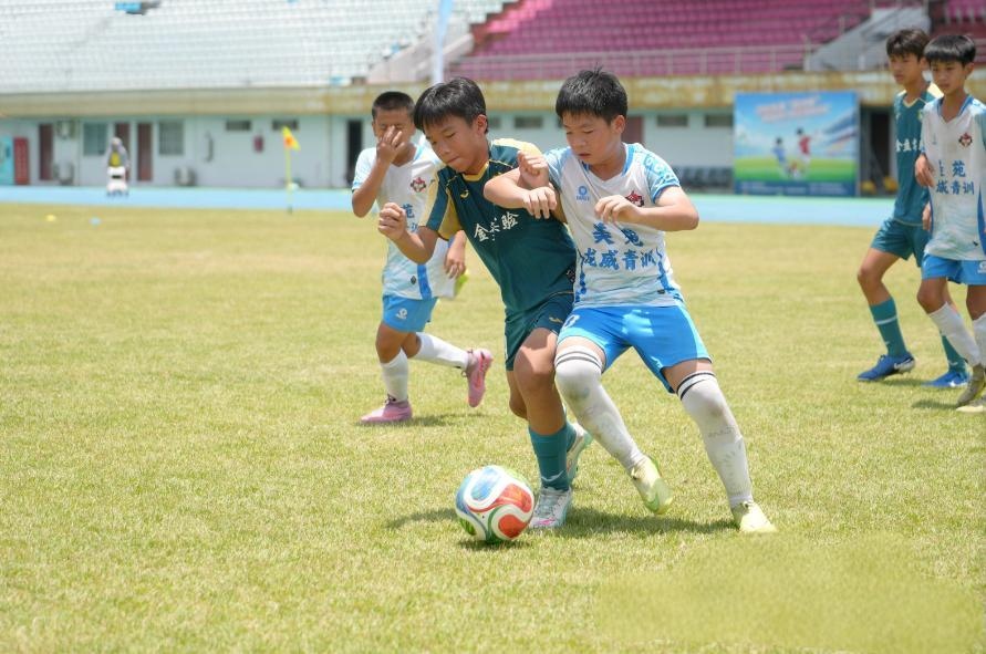 1784603292509515.jpg WPS图片1.jpg