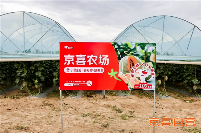 1784692118916830.jpg 6图片1.jpg