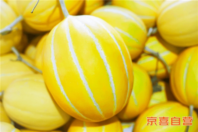 1784692090585162.jpg 3图片1.jpg
