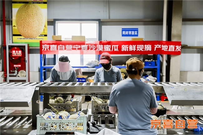 1784692099689909.jpg 4图片1.jpg