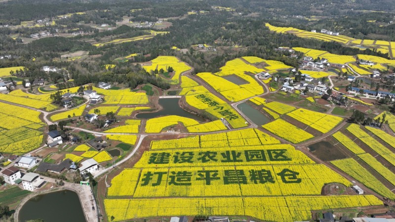 1784786610714702.jpg 3南天门高标准农田.jpg