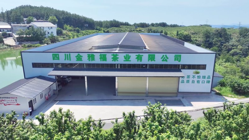 1784856628492075.jpg 5云台镇海山社区茶叶基地 (1).jpg