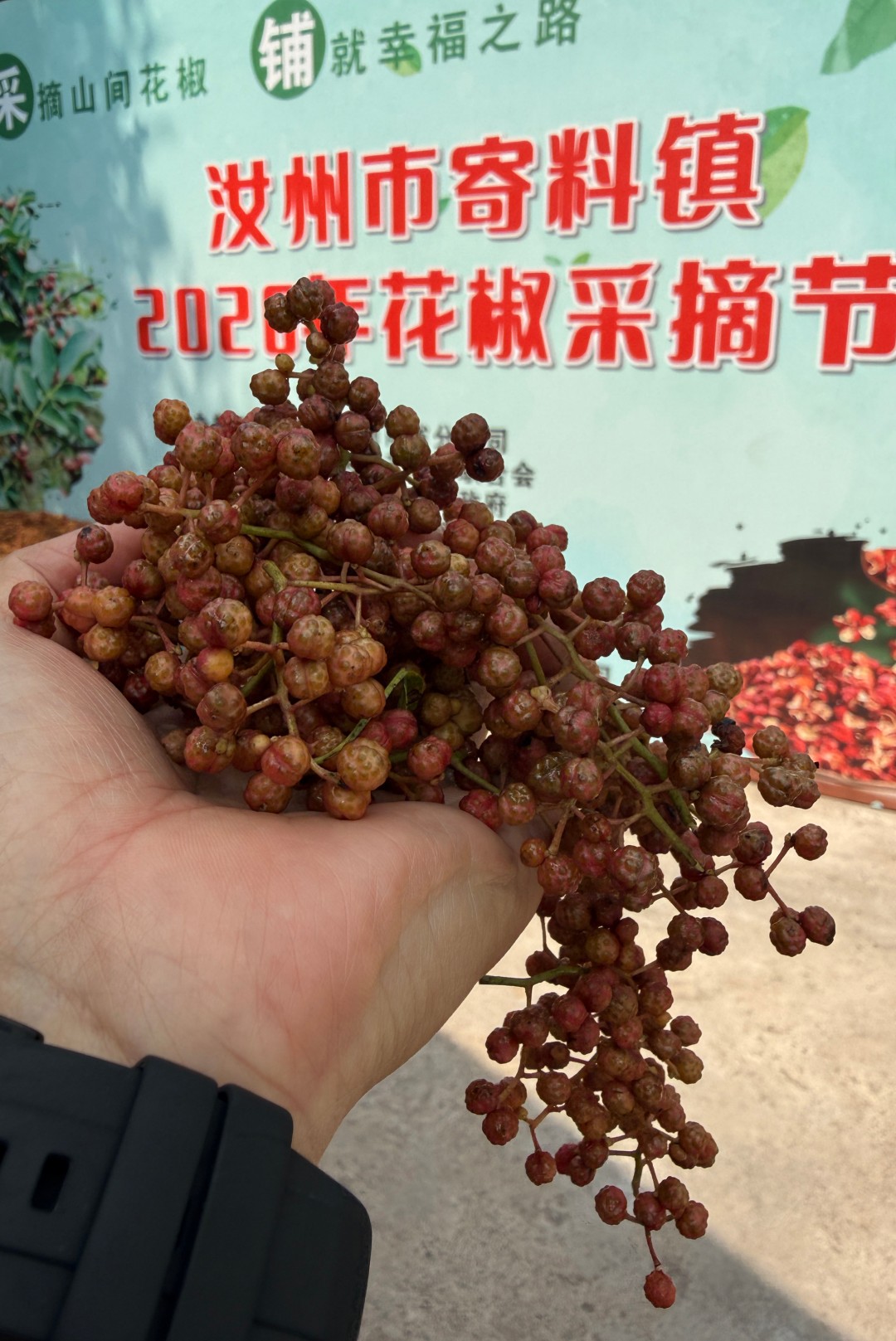 1784862355810909.jpg 微信图片_20260724104437_1397_148.jpg