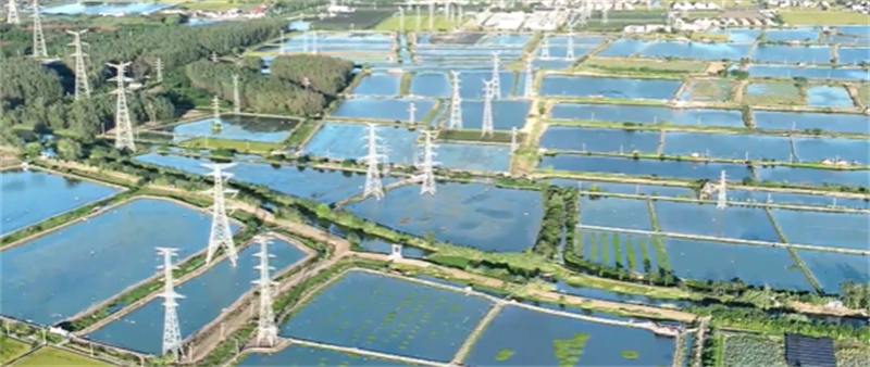 1784790149486095.jpg 图片4.jpg