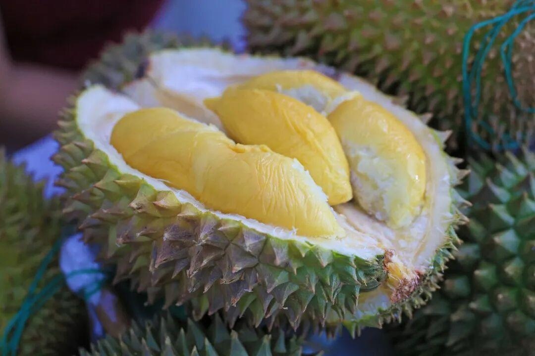 1785208561653194.jpg WPS图片1.jpg