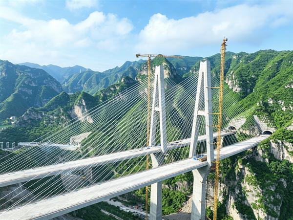 1785219965629706.jpg 1图片1.jpg