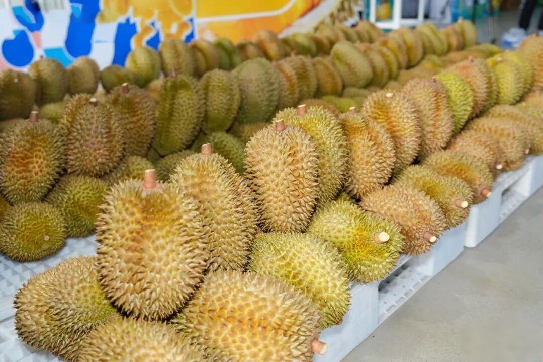 1785208568284574.jpg WPS图片2.jpg