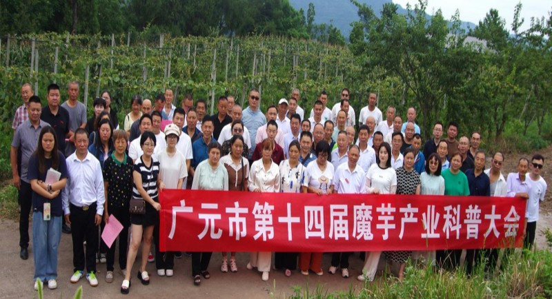 1785137036425248.jpg 图片5.jpg