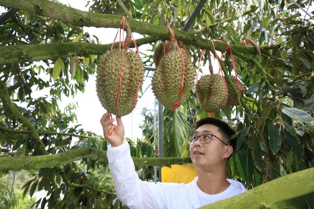 1785208589665268.jpg WPS图片4.jpg