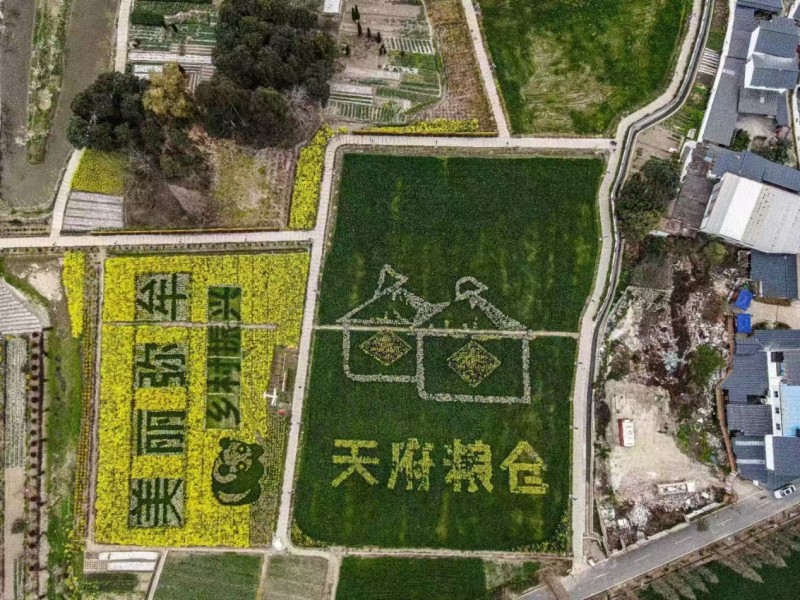 1785302312672288.jpg 图片2.jpg