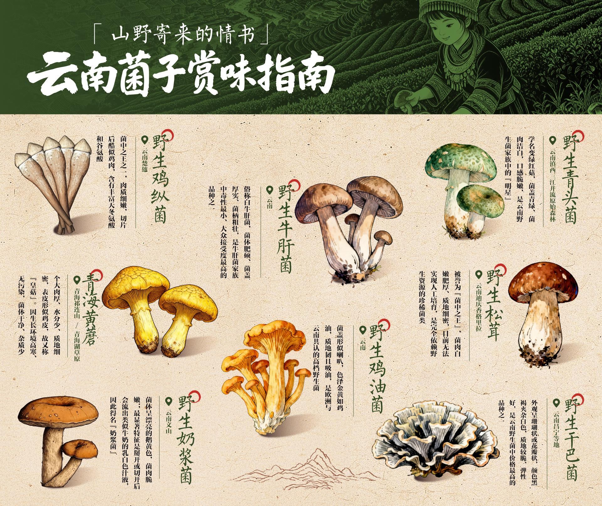 1785309477977620.jpg 图片1_副本.jpg