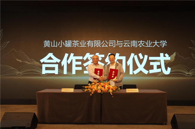 1785383020342960.jpg 1图片1.jpg
