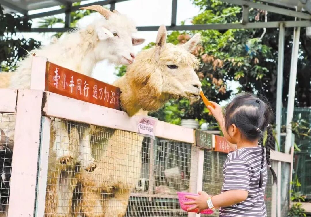 1785467668322202.jpg WPS图片6.jpg