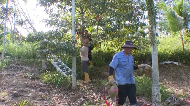 1785466771655284.jpg WPS图片1.jpg