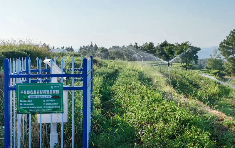 2茶园土壤墒情监测设施.jpg
