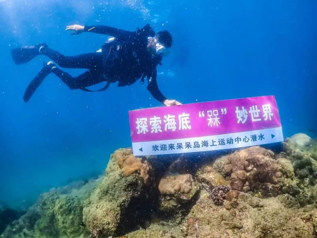 1785726316776266.jpg WPS图片3.jpg
