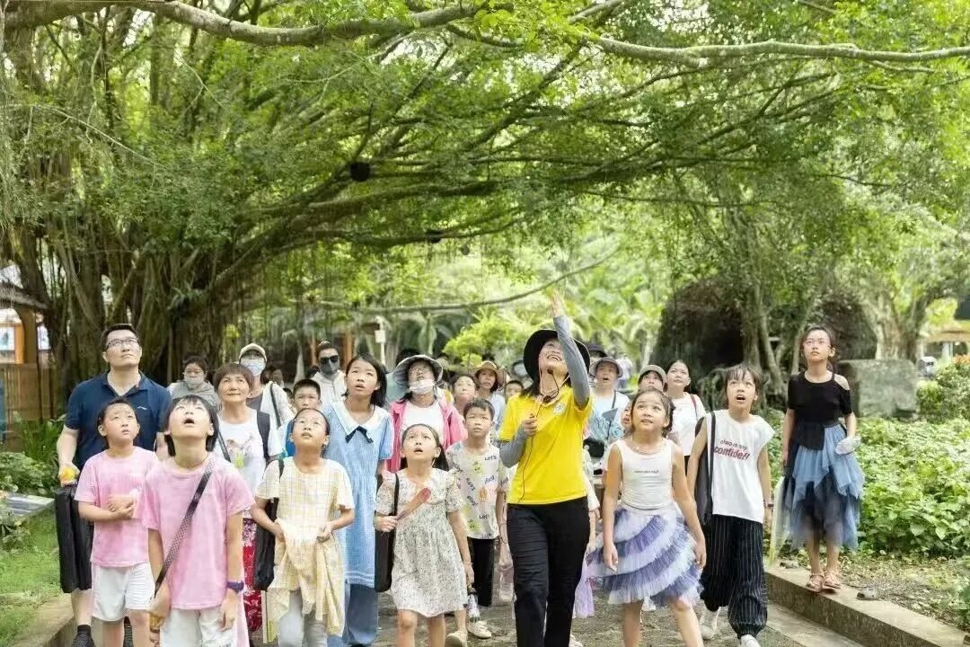 1785987487904885.jpg WPS图片3.jpg
