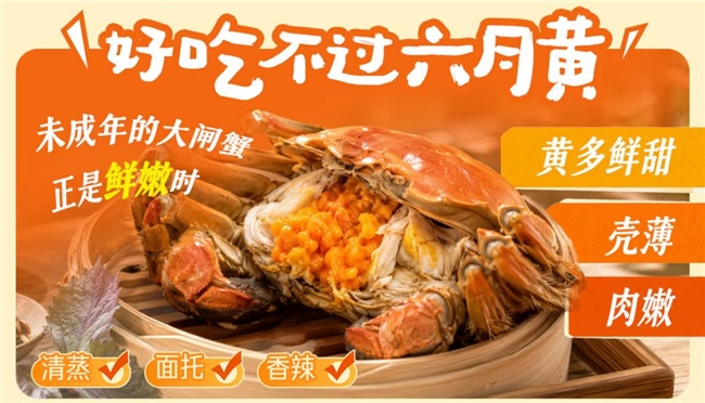 1786004159769523.jpg 10图片1.jpg